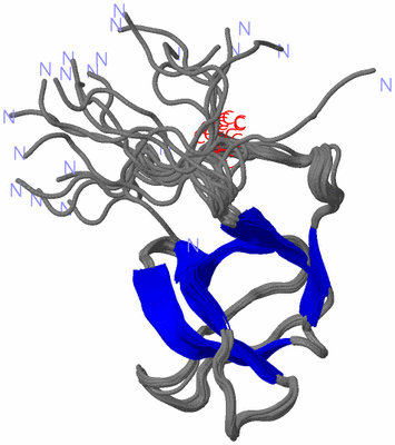 Image NMR Structure - all models