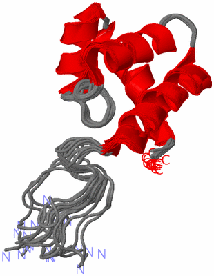 Image NMR Structure - all models
