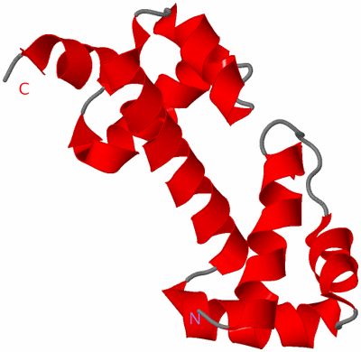 Image NMR Structure - model 1