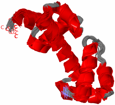 Image NMR Structure - all models