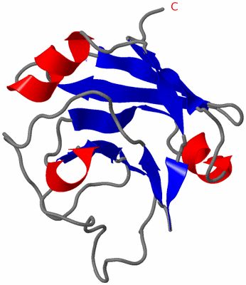 Image NMR Structure - model 1