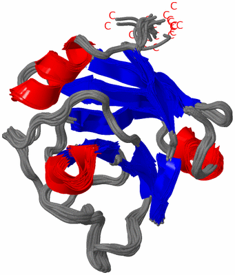 Image NMR Structure - all models