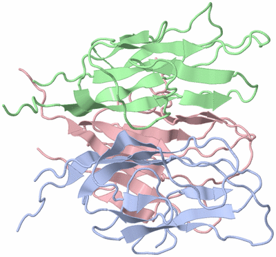 Image NMR Structure - model 1