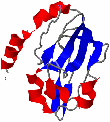 Image NMR Structure - model 1
