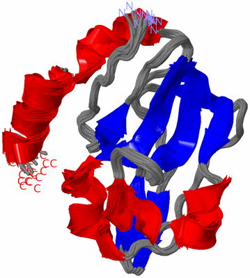 Image NMR Structure - all models