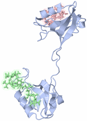 Image NMR Structure - model 1
