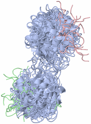 Image NMR Structure - all models