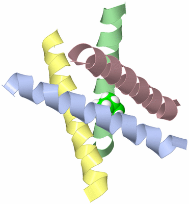 Image Asymmetric Unit