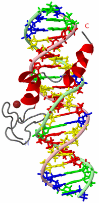 Image NMR Structure - model 1