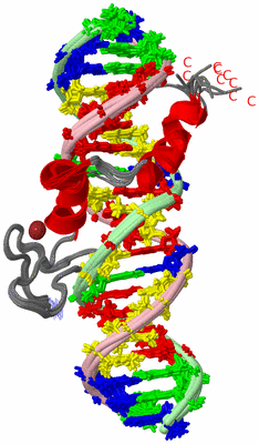 Image NMR Structure - all models