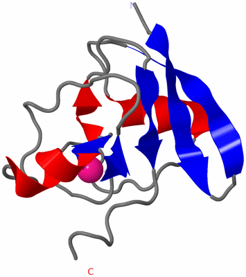 Image NMR Structure - model 1