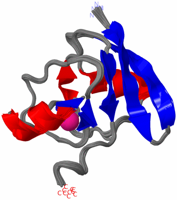 Image NMR Structure - all models