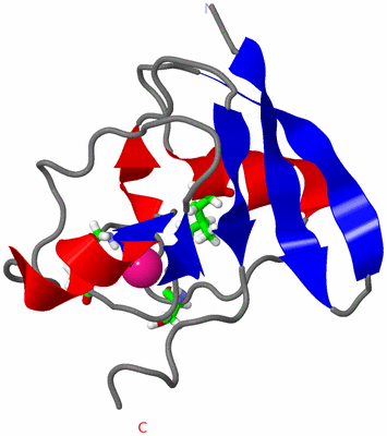 Image NMR Structure - model 1, sites
