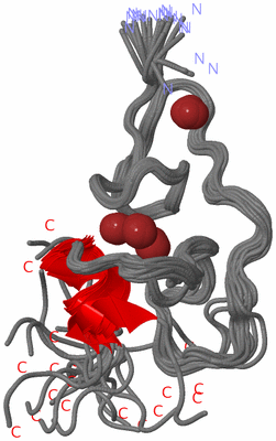 Image NMR Structure - all models