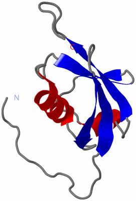 Image NMR Structure - model 1