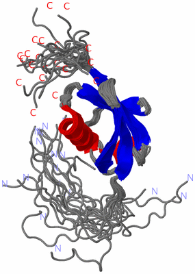 Image NMR Structure - all models