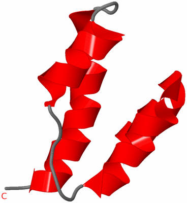 Image NMR Structure - model 1