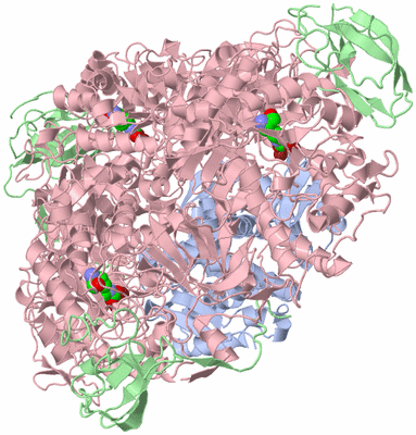 Image Biological Unit 1