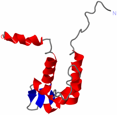 Image NMR Structure - model 1