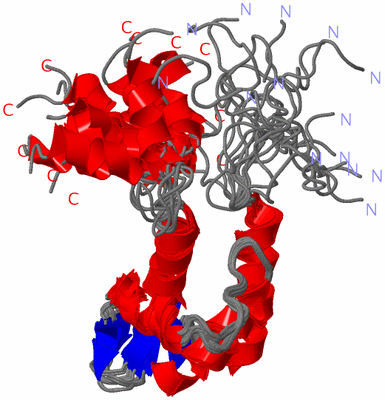 Image NMR Structure - all models