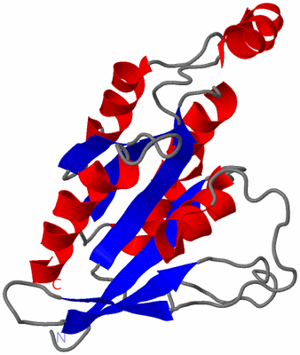 Image NMR Structure - model 1