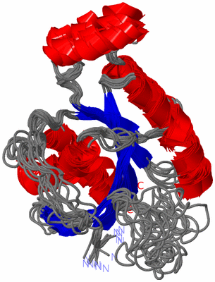 Image NMR Structure - all models