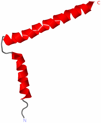 Image NMR Structure - model 1