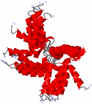 Image NMR Structure - all models