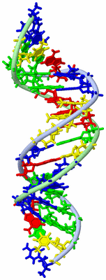 Image NMR Structure - model 1