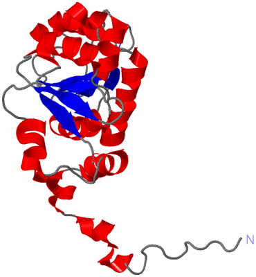 Image NMR Structure - model 1