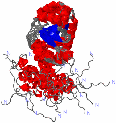 Image NMR Structure - all models