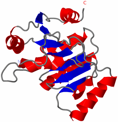 Image NMR Structure - model 1