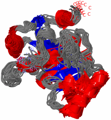 Image NMR Structure - all models