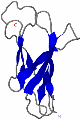 Image NMR Structure - model 1