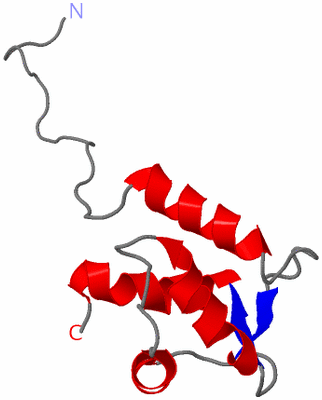 Image NMR Structure - model 1