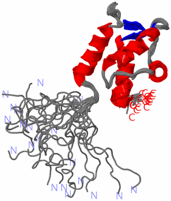 Image NMR Structure - all models