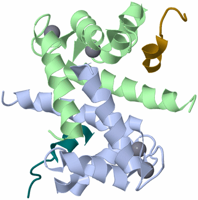 Image NMR Structure - model 1