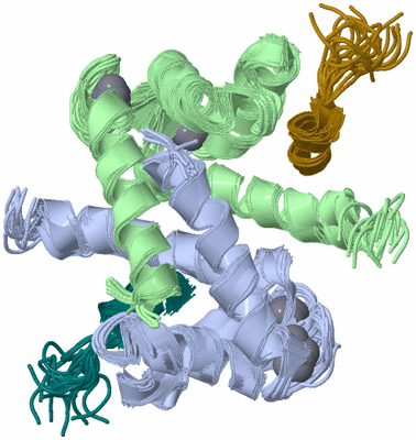 Image NMR Structure - all models