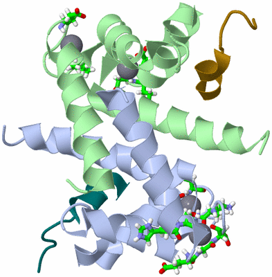 Image NMR Structure - model 1, sites