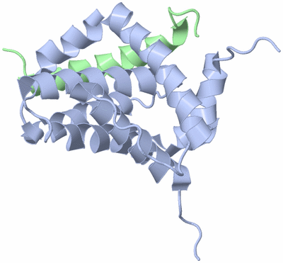 Image NMR Structure - model 1