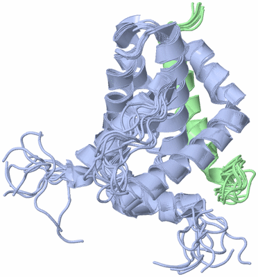 Image NMR Structure - all models