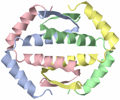 Image NMR Structure - model 1