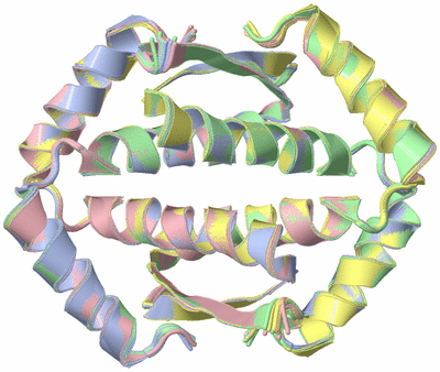 Image NMR Structure - all models