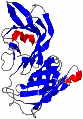 Image NMR Structure - model 1