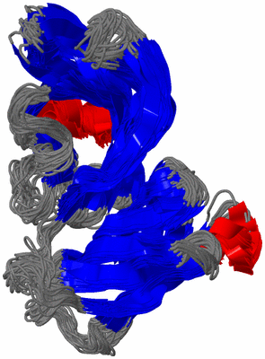 Image NMR Structure - all models