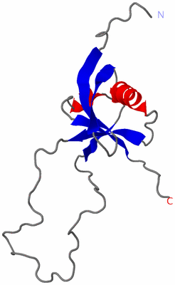 Image NMR Structure - model 1