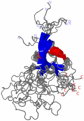 Image NMR Structure - all models