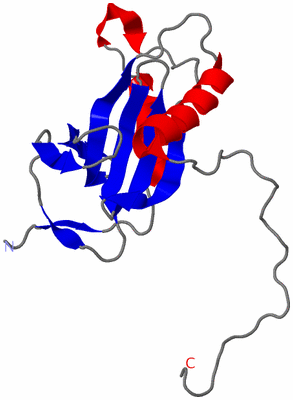 Image NMR Structure - model 1