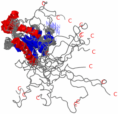 Image NMR Structure - all models
