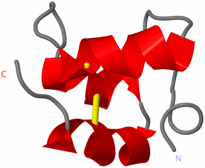 Image NMR Structure - model 1